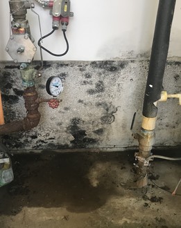 Mold